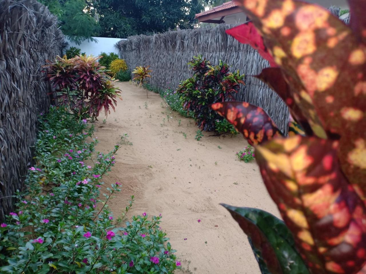 Sunset Safari & Resort Kalpitiya Eksteriør billede